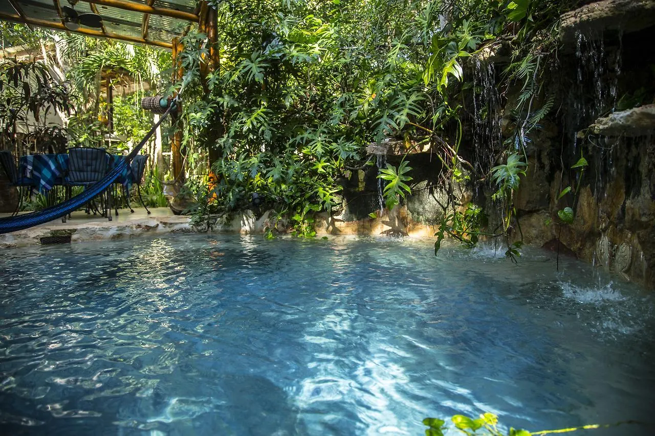 La Selva Mariposa Bed & Breakfast Tulum